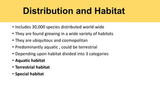 Distribution and Habitat
• Includes 30,000 species distributed world-wide
• They are found growing in a wide variety of habitats
• They are ubiquitous and cosmopolitan
• Predominantly aquatic , could be terrestrial
• Depending upon habitat divided into 3 categories
• Aquatic habitat
• Terrestrial habitat
• Special habitat
 