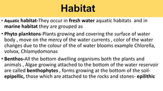 Habitat
• Aquatic habitat-They occur in fresh water aquatic habitats and in
marine habitat they are grouped as
• Phyto planktons-Plants growing and covering the surface of water
body , move on the mercy of the water currents , color of the water
changes due to the colour of the of water blooms example Chlorella,
volvox, Chlamydomonas
• Benthos-All the bottom dwelling organisms both the plants and
animals , Algae growing attached to the bottom of the water reservoir
are called benthophytes , forms growing at the bottom of the soil-
epipellic, those which are attached to the rocks and stones- epilithic
 