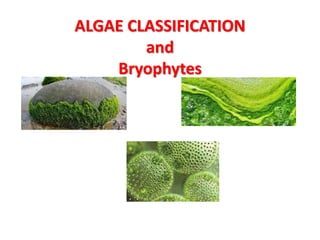 ALGAE CLASSIFICATION
and
Bryophytes
 
