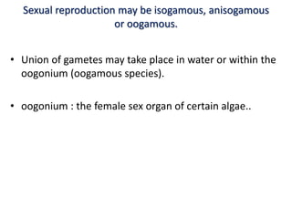 Isogamous Algae classification and Bryophytes | PPTX