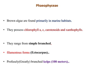 Phaeophyceae vary in colour from olive green to
various shades of brown
• Depending upon the amount of the xanthophyll
pig...