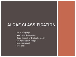 Dr. P. Suganya
Assistant Professor
Department of Biotechnology
Sri Kaliswari College
(Autonomous)
Sivakasi
ALGAE CLASSIFICATION
 