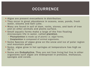  Algae are present everywhere in distribution.
 They occur in great abundance in oceans, seas, ponds, fresh
water, steams and Salt Lake.
 Many are found in soil of dam, rocks, stones, and bark of tree
and on other animals and plants surface.
 Small aquatic forms make a large of the free floating
microscopic life in water, called plankton.
 Phytoplankton is made up of plants i.e. algal forms.
 Zooplankton is composed of animal organisms.
 Some Species of algae grow on the snow and ice of polar region
and mountain peaks.
 Some, algae grow in hot springes at temperature has high as
55°C.
 Some are Endophytice. They are not free living but live in other
organisms such algae are widespread in protozoa, molluscus,
sponges and corals.
OCCURRENCE
 