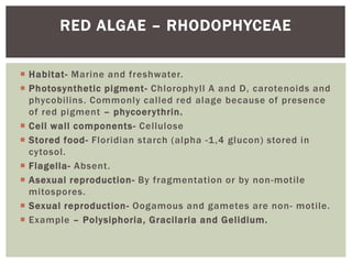  https://www.biologydiscussion.com/algae/algae-definition-
characteristics-and-structure-with diagram/46727
REFERENCES
 