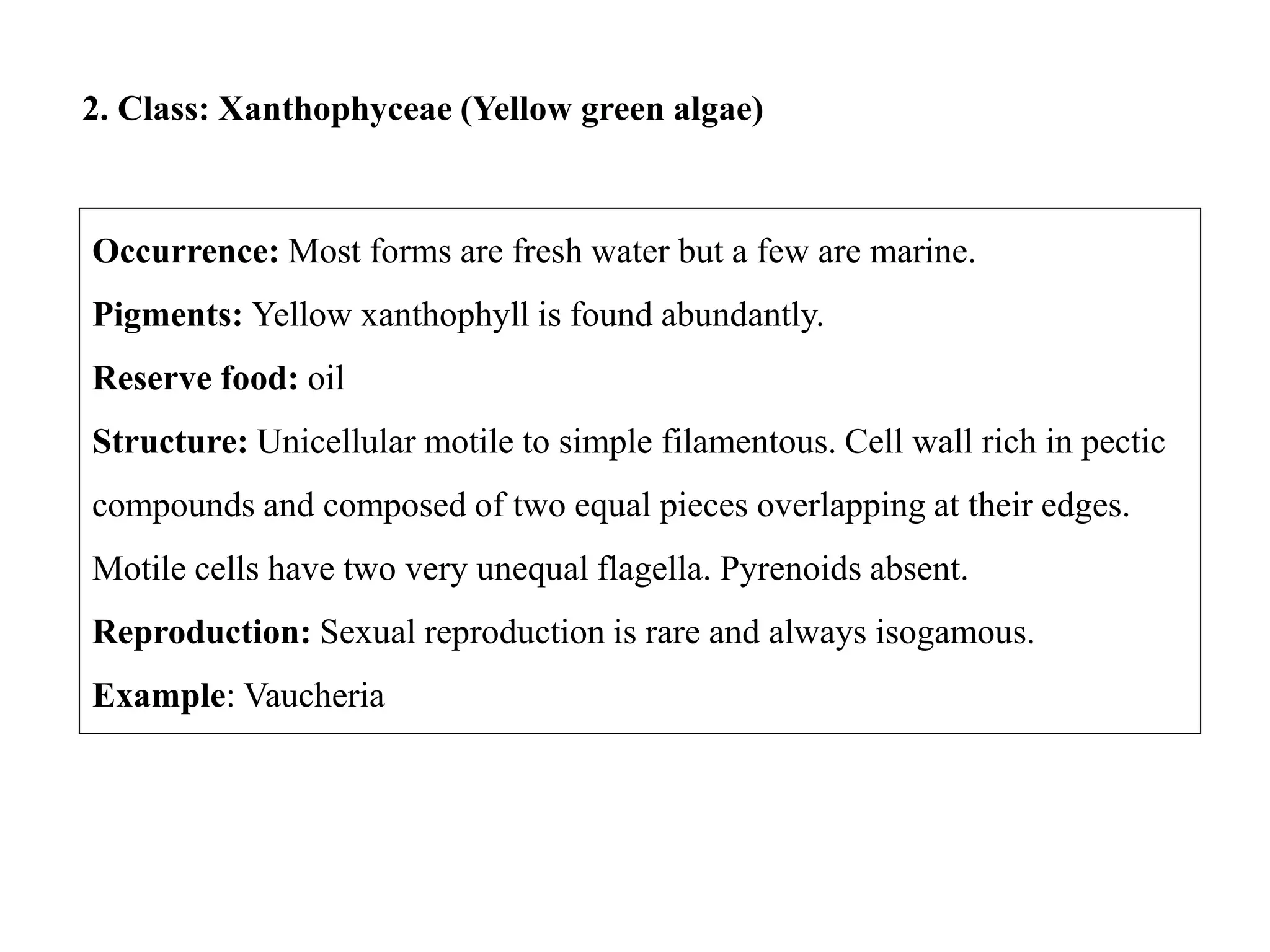 Xanthophyll Example algae classification.pptx