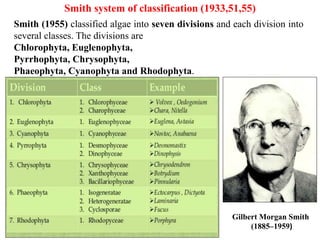 Smith Classification Algae Classification.pptx