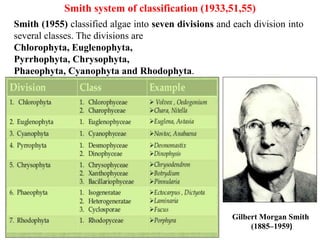 Algae Classification.pptx