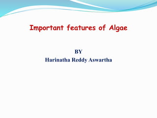 Important features of Algae
BY
Harinatha Reddy Aswartha
 