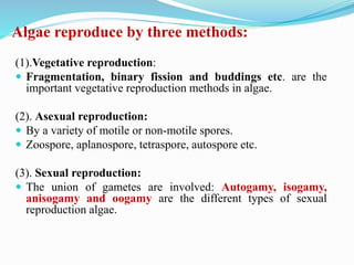 Algae reproduce by three methods:
(1).Vegetative reproduction:
 Fragmentation, binary fission and buddings etc. are the
important vegetative reproduction methods in algae.
(2). Asexual reproduction:
 By a variety of motile or non-motile spores.
 Zoospore, aplanospore, tetraspore, autospore etc.
(3). Sexual reproduction:
 The union of gametes are involved: Autogamy, isogamy,
anisogamy and oogamy are the different types of sexual
reproduction algae.
 