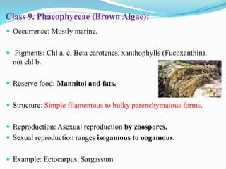 Class 9. Phaeophyceae (Brown Algae):
 Occurrence: Mostly marine.
 Pigments: Chl a, c, Beta carotenes, xanthophylls (Fuco...