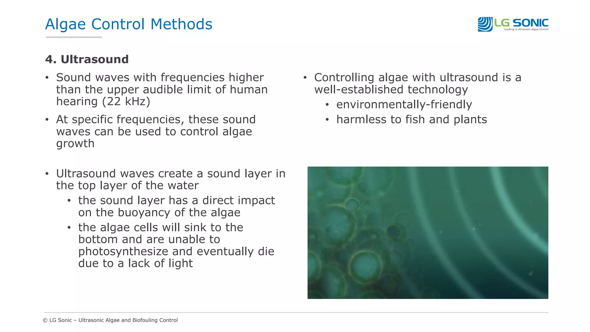 © LG Sonic – Ultrasonic Algae and Biofouling Control
4. Ultrasound
• Sound waves with frequencies higher
than the upper audible limit of human
hearing (22 kHz)
• At specific frequencies, these sound
waves can be used to control algae
growth
• Ultrasound waves create a sound layer in
the top layer of the water
• the sound layer has a direct impact
on the buoyancy of the algae
• the algae cells will sink to the
bottom and are unable to
photosynthesize and eventually die
due to a lack of light
• Controlling algae with ultrasound is a
well-established technology
• environmentally-friendly
• harmless to fish and plants
Algae Control Methods
 