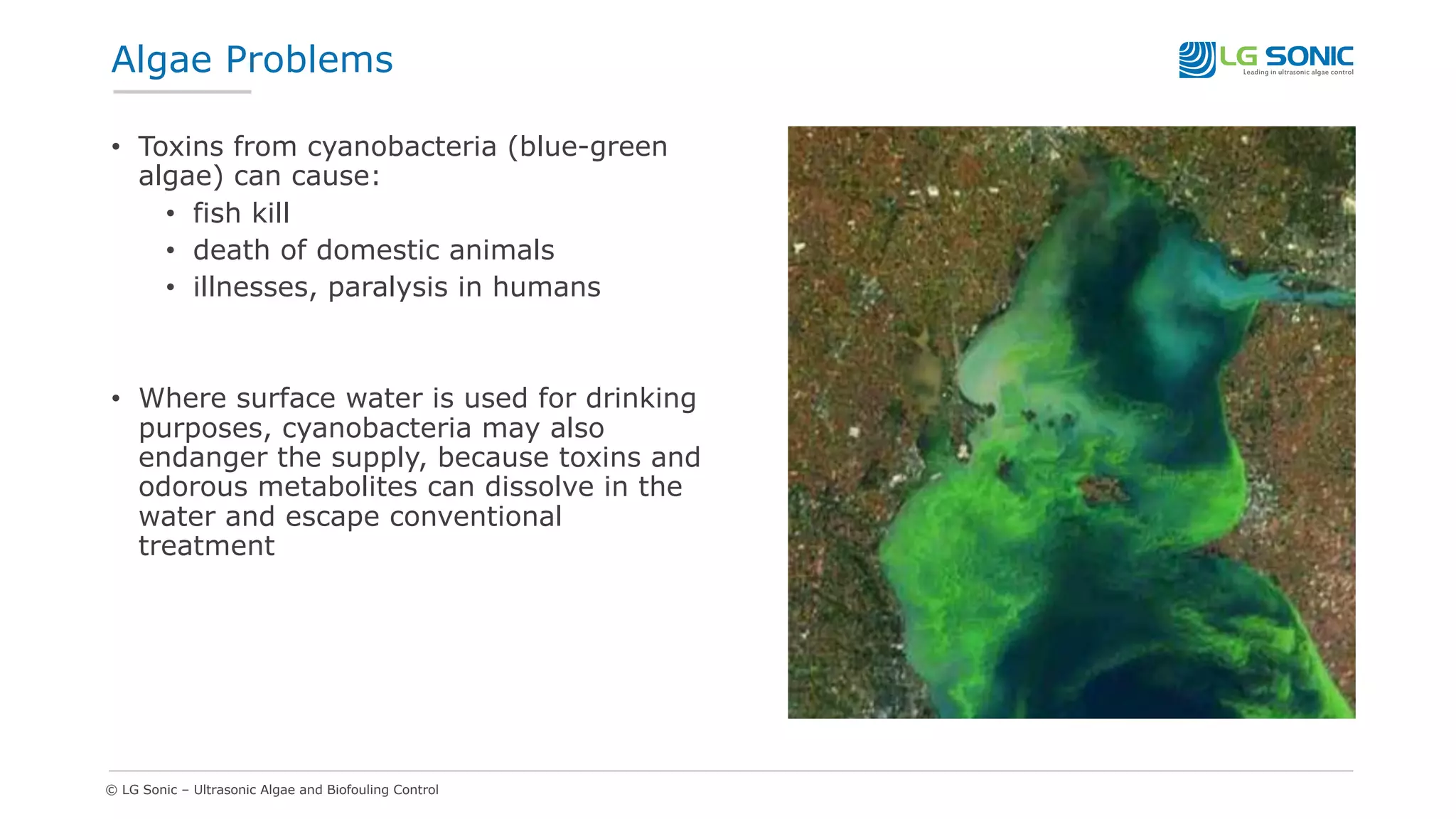 © LG Sonic – Ultrasonic Algae and Biofouling Control
• Toxins from cyanobacteria (blue-green
algae) can cause:
• fish kill
• death of domestic animals
• illnesses, paralysis in humans
• Where surface water is used for drinking
purposes, cyanobacteria may also
endanger the supply, because toxins and
odorous metabolites can dissolve in the
water and escape conventional
treatment
Algae Problems
 