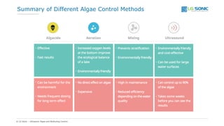 Curated visual reference: Visual Reference: Algae Control Methods