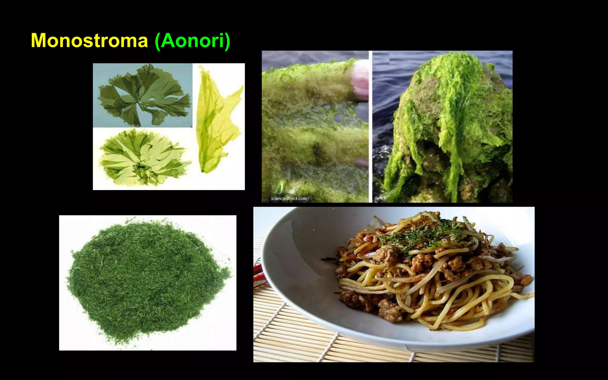 Algae Economic Importance | PPTX