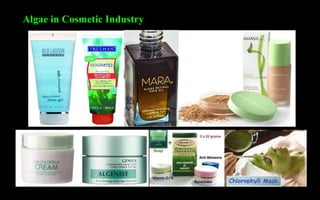 Algae Economic Importance | PPTX