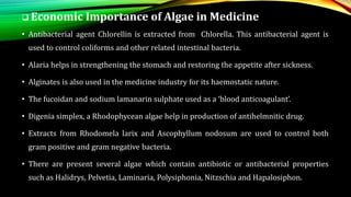  Economic Importance of Algae in Medicine
• Antibacterial agent Chlorellin is extracted from Chlorella. This antibacterial agent is
used to control coliforms and other related intestinal bacteria.
• Alaria helps in strengthening the stomach and restoring the appetite after sickness.
• Alginates is also used in the medicine industry for its haemostatic nature.
• The fucoidan and sodium lamanarin sulphate used as a ‘blood anticoagulant’.
• Digenia simplex, a Rhodophycean algae help in production of antihelmnitic drug.
• Extracts from Rhodomela larix and Ascophyllum nodosum are used to control both
gram positive and gram negative bacteria.
• There are present several algae which contain antibiotic or antibacterial properties
such as Halidrys, Pelvetia, Laminaria, Polysiphonia, Nitzschia and Hapalosiphon.
 