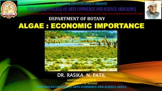 DEPARTMENT OF BOTANY
ALGAE : ECONOMIC IMPORTANCE
DR. RASIKA N. PATIL
ASSISTANT PROFESSOR
DEPARTMENT OF BOTANY
SHRI SHIVAJI COLLEGE OF ARTS COMMERCE AND SCIENCE AKOLA
 