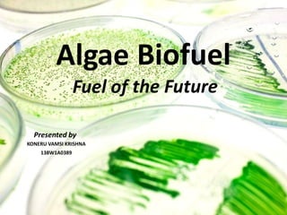 Algae
Fuel of
Biofuel
the Future
Presented by
KONERU VAMSI KRISHNA
138W1A0389
 