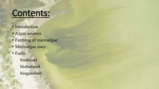 Algae fuel for future use | PPTX