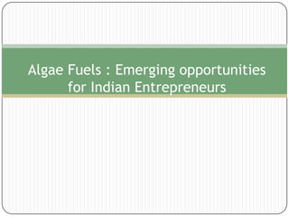 Algae Fuels : Emerging opportunities for Indian Entrepreneurs 