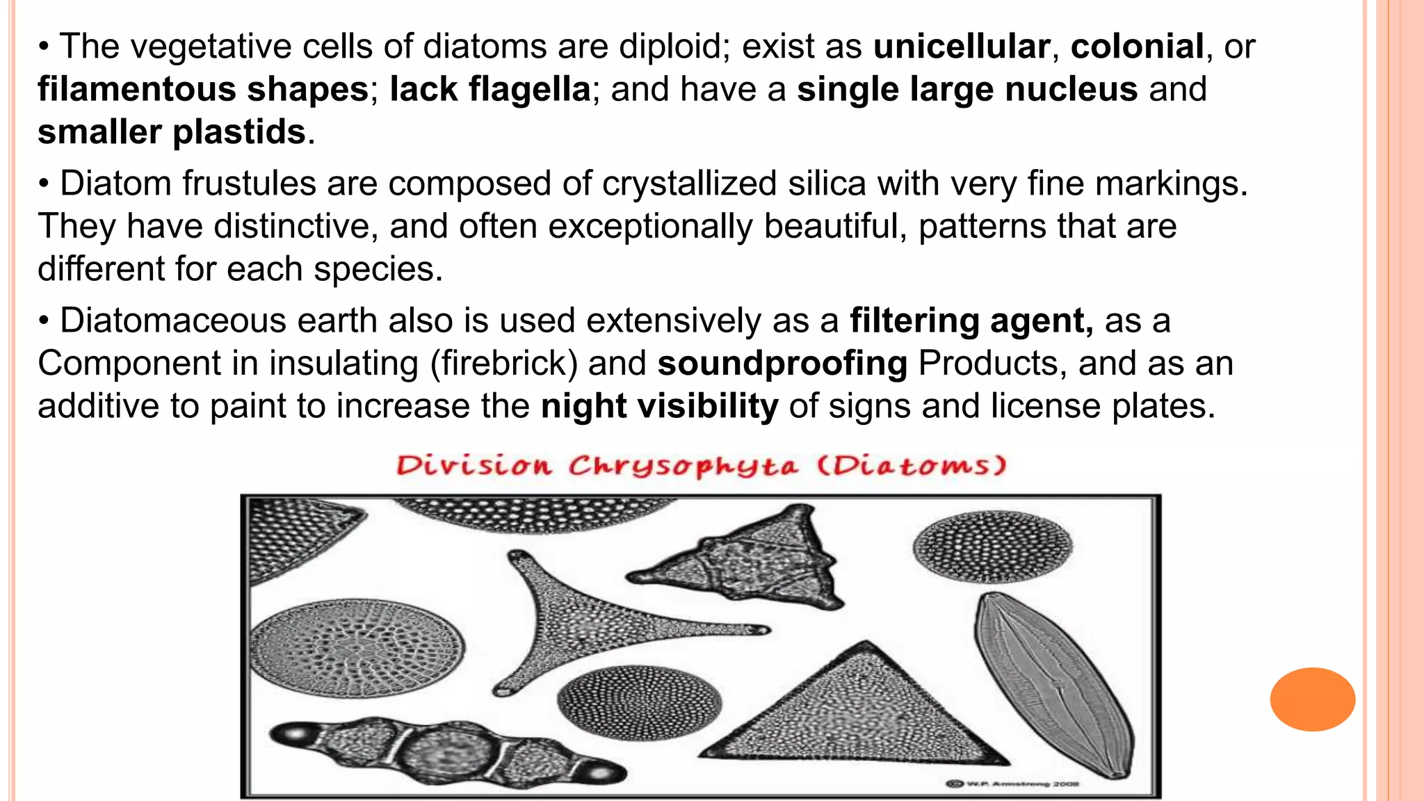 • The vegetative cells of diatoms are diploid; exist as unicellular, colonial, or
filamentous shapes; lack flagella; and have a single large nucleus and
smaller plastids.
• Diatom frustules are composed of crystallized silica with very fine markings.
They have distinctive, and often exceptionally beautiful, patterns that are
different for each species.
• Diatomaceous earth also is used extensively as a filtering agent, as a
Component in insulating (firebrick) and soundproofing Products, and as an
additive to paint to increase the night visibility of signs and license plates.
 