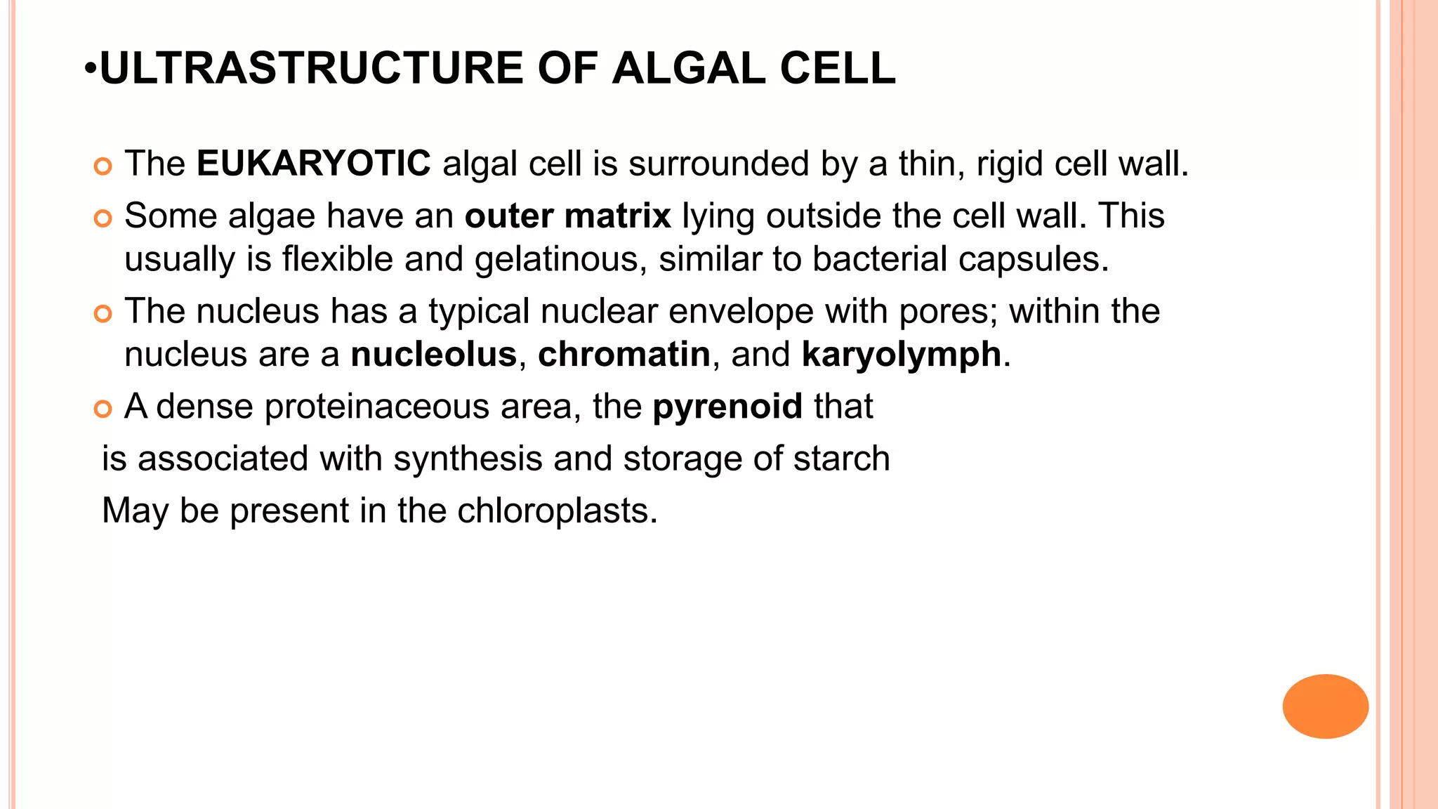 •ULTRASTRUCTURE OF ALGAL CELL
 The EUKARYOTIC algal cell is surrounded by a thin, rigid cell wall.
 Some algae have an outer matrix lying outside the cell wall. This
usually is flexible and gelatinous, similar to bacterial capsules.
 The nucleus has a typical nuclear envelope with pores; within the
nucleus are a nucleolus, chromatin, and karyolymph.
 A dense proteinaceous area, the pyrenoid that
is associated with synthesis and storage of starch
May be present in the chloroplasts.
 