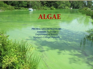 ALGAE
PROBAL KR CHOWDHURY
Assistant Professor
Department of Botany
Women’s College, Agartala
 