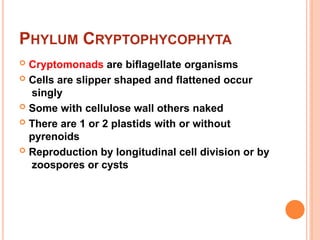 Cryptomonads Algae General Characters. Dr Thirunahari Ugandharpptx | PPTX