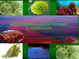 ALGAE GENERAL CHARACTERS AND
CLASSIFICATION
 