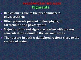  Red colour is due to the predominace r-
phycoerythrin
 Other pigments present: chlorophylla, d,
carotenoids and phycocyanin
 Majority of the red algae are marine with greater
concentrations found in the warmer areas
 They occurs in both weLl lighted regions close to the
surface of water.
Pigments
RHODOPHYCEAE- RED ALGAE
 