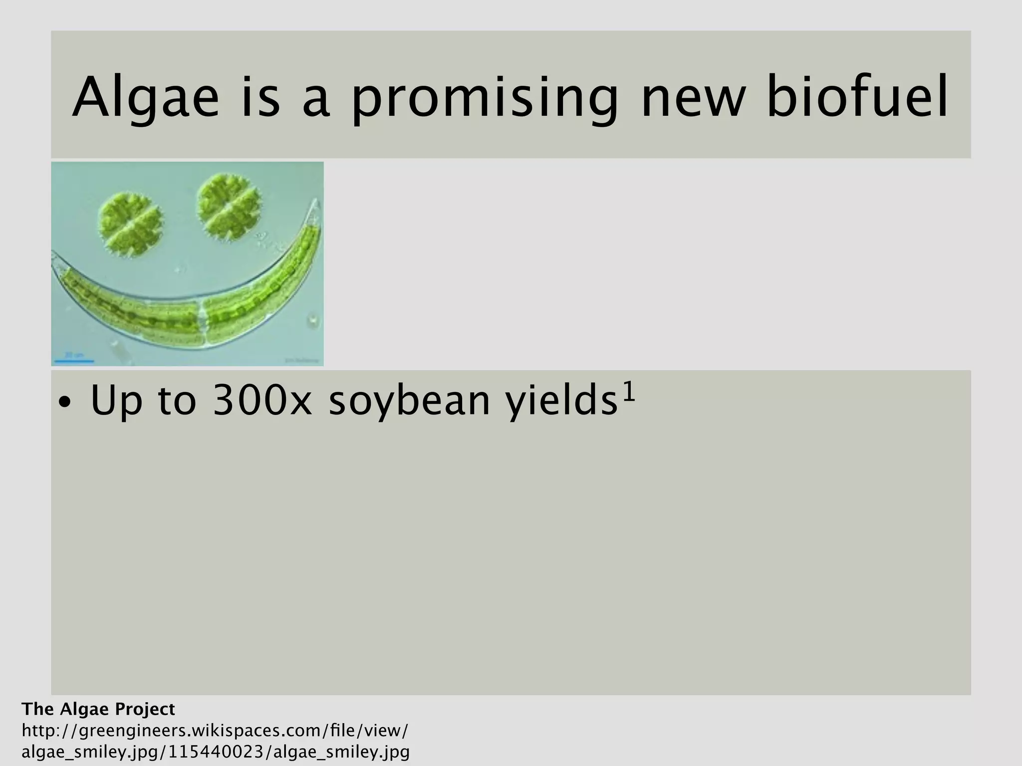 Algae is a promising new biofuel




   •   Up to 300x soybean yields1




The Algae Project
http://greengineers.wikispaces.com/ﬁle/view/
algae_smiley.jpg/115440023/algae_smiley.jpg
 