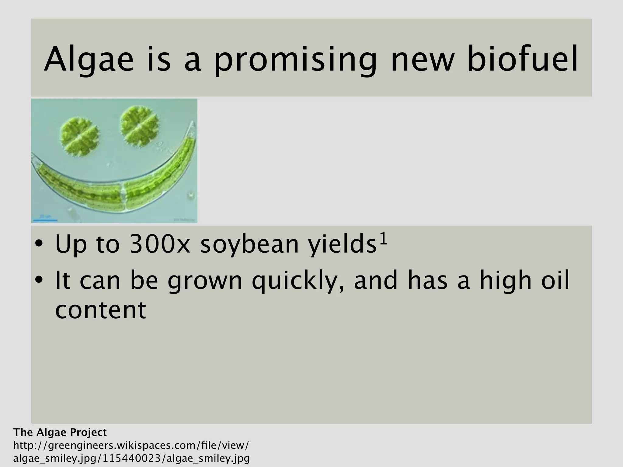 Algae is a promising new biofuel




   • Up to 300x soybean yields1
   • It can be grown quickly, and has a high oil
       content



The Algae Project
http://greengineers.wikispaces.com/ﬁle/view/
algae_smiley.jpg/115440023/algae_smiley.jpg
 