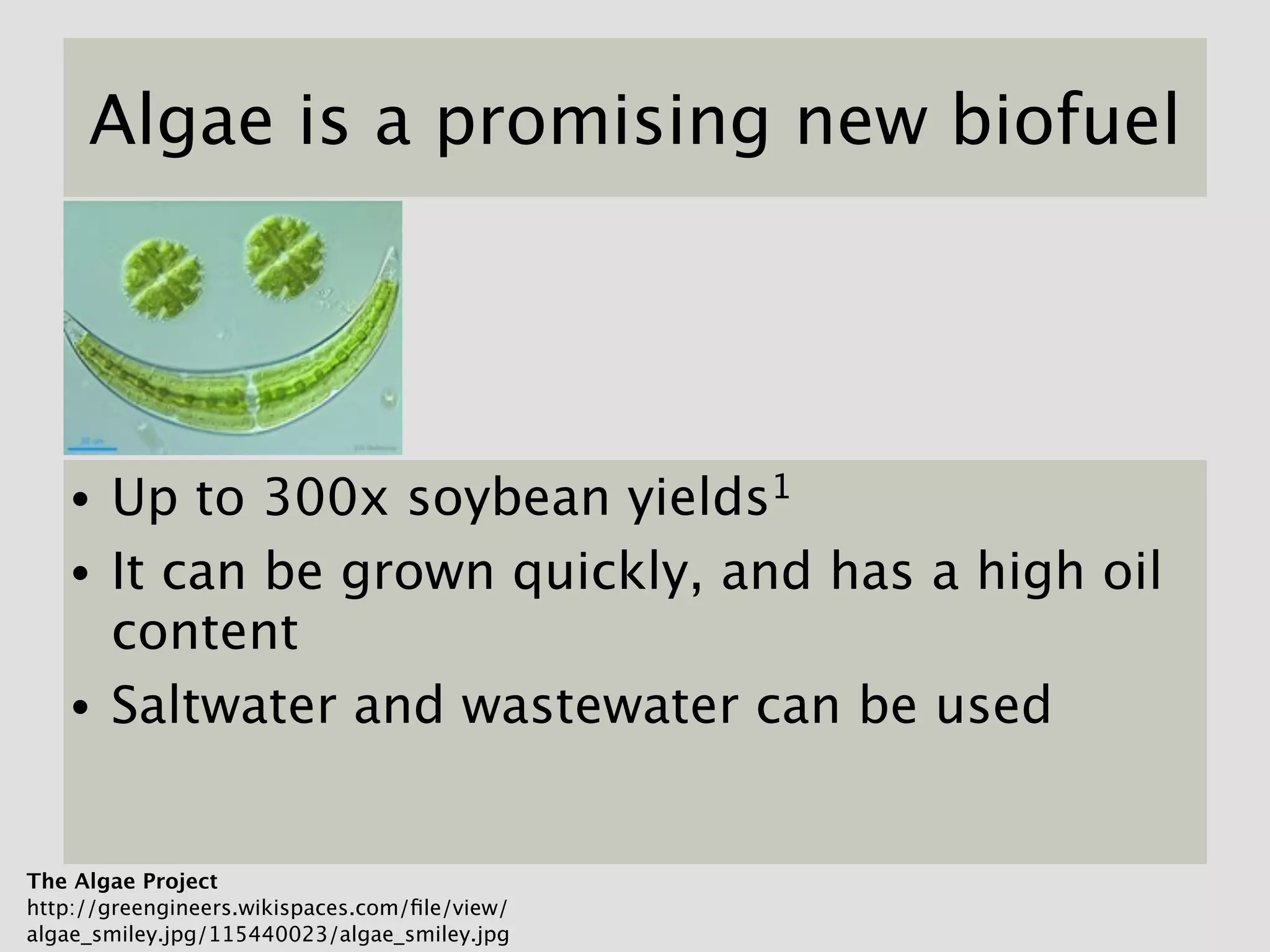 Algae is a promising new biofuel




   •   Up to 300x soybean yields1
   •   It can be grown quickly, and has a high oil
       content
   •   Saltwater and wastewater can be used


The Algae Project
http://greengineers.wikispaces.com/ﬁle/view/
algae_smiley.jpg/115440023/algae_smiley.jpg
 