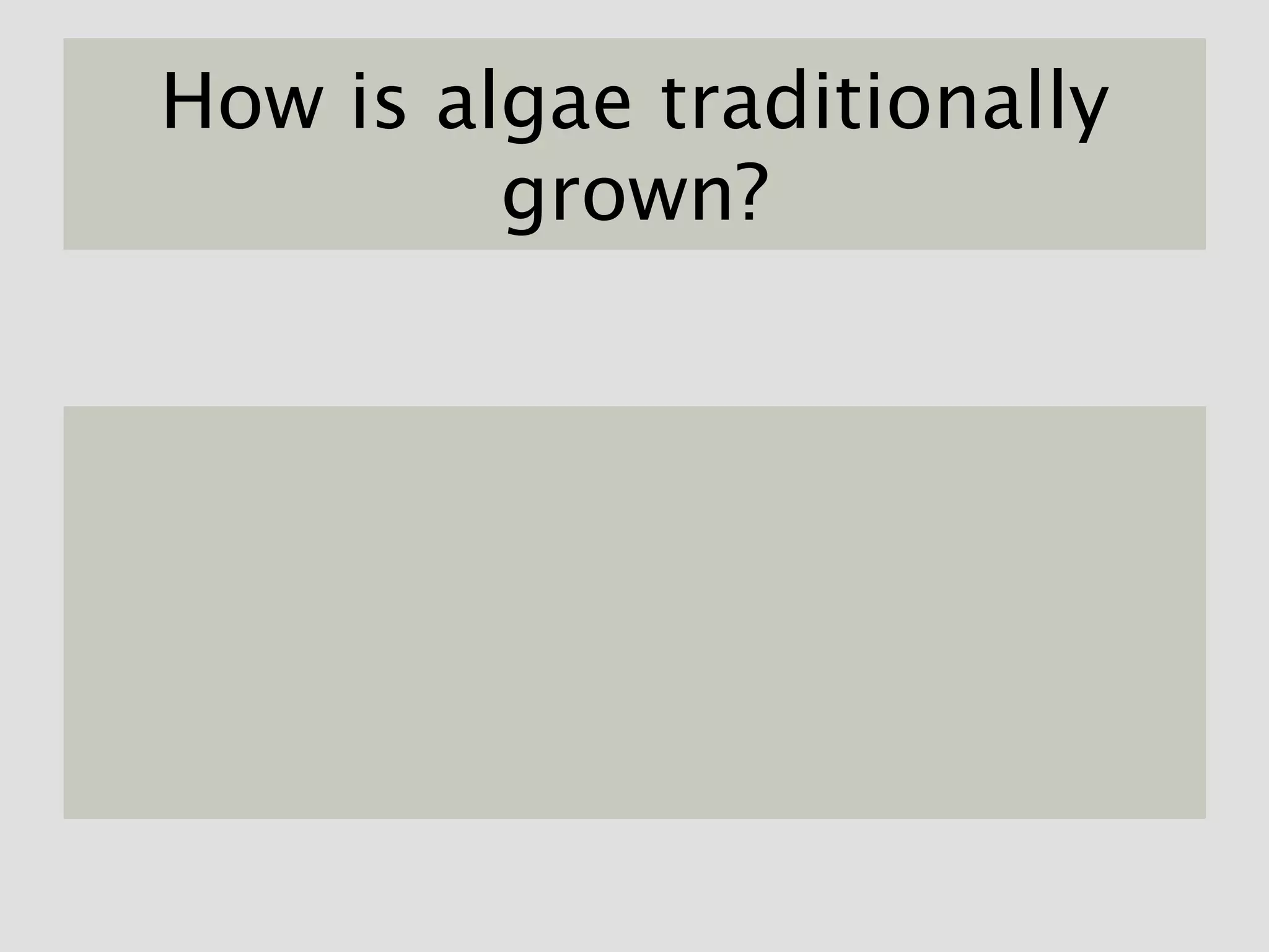 How is algae traditionally
         grown?
 