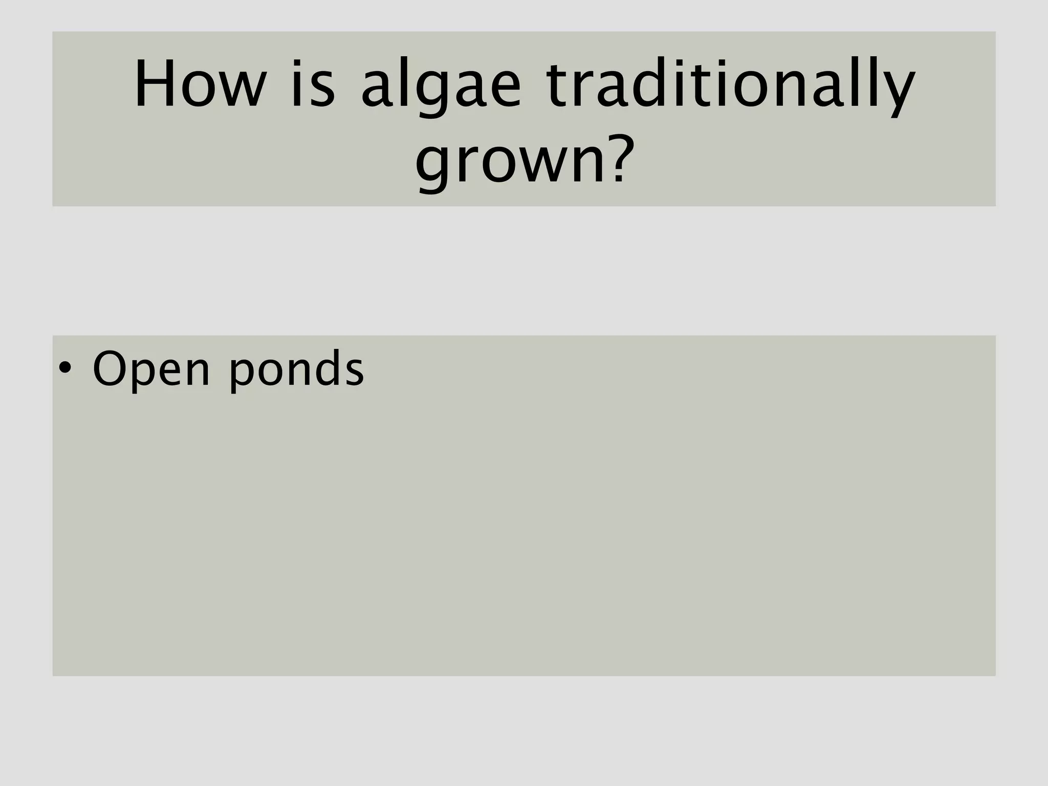 How is algae traditionally
           grown?


• Open ponds
 