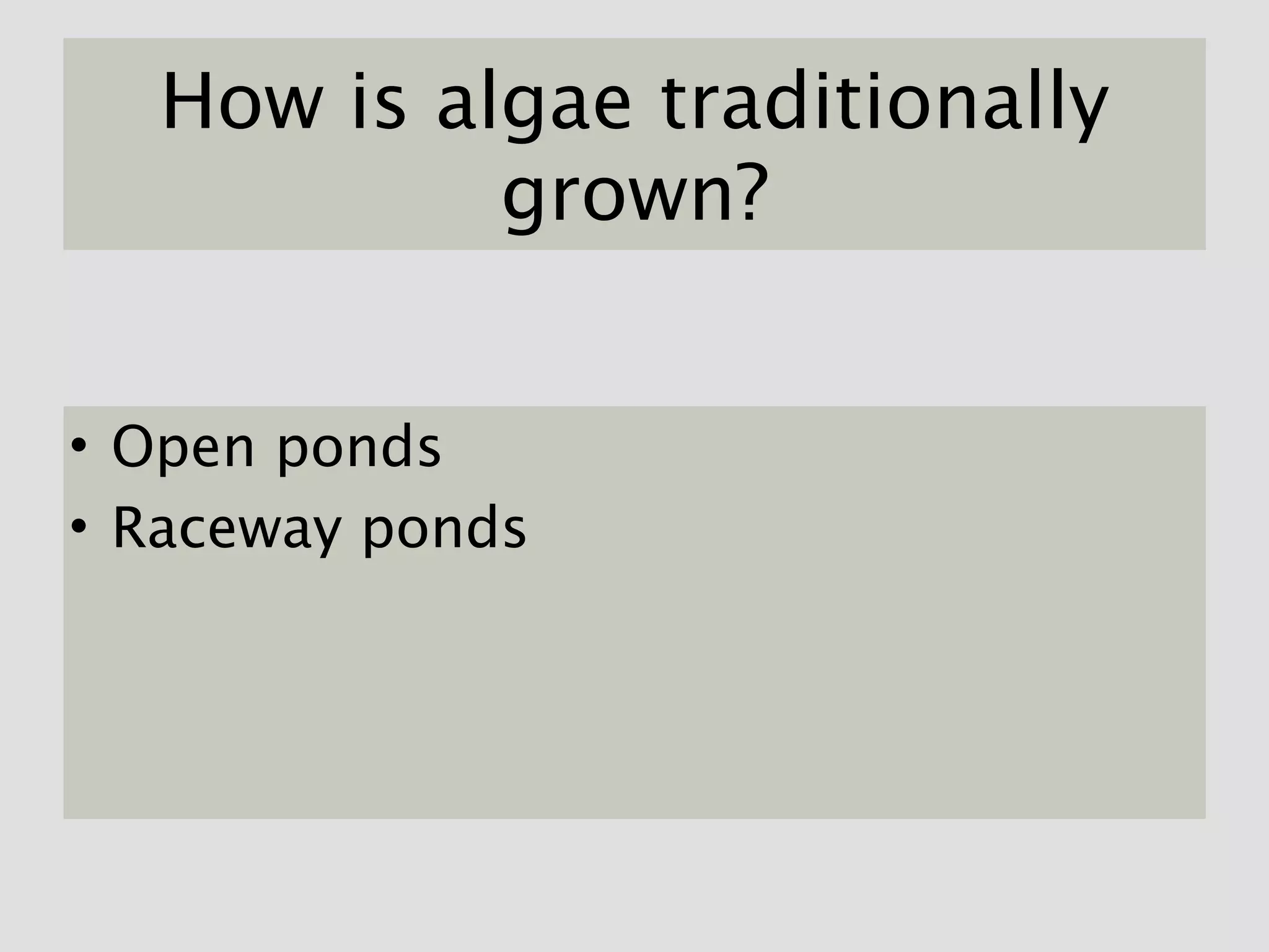How is algae traditionally
           grown?


• Open ponds
• Raceway ponds
 
