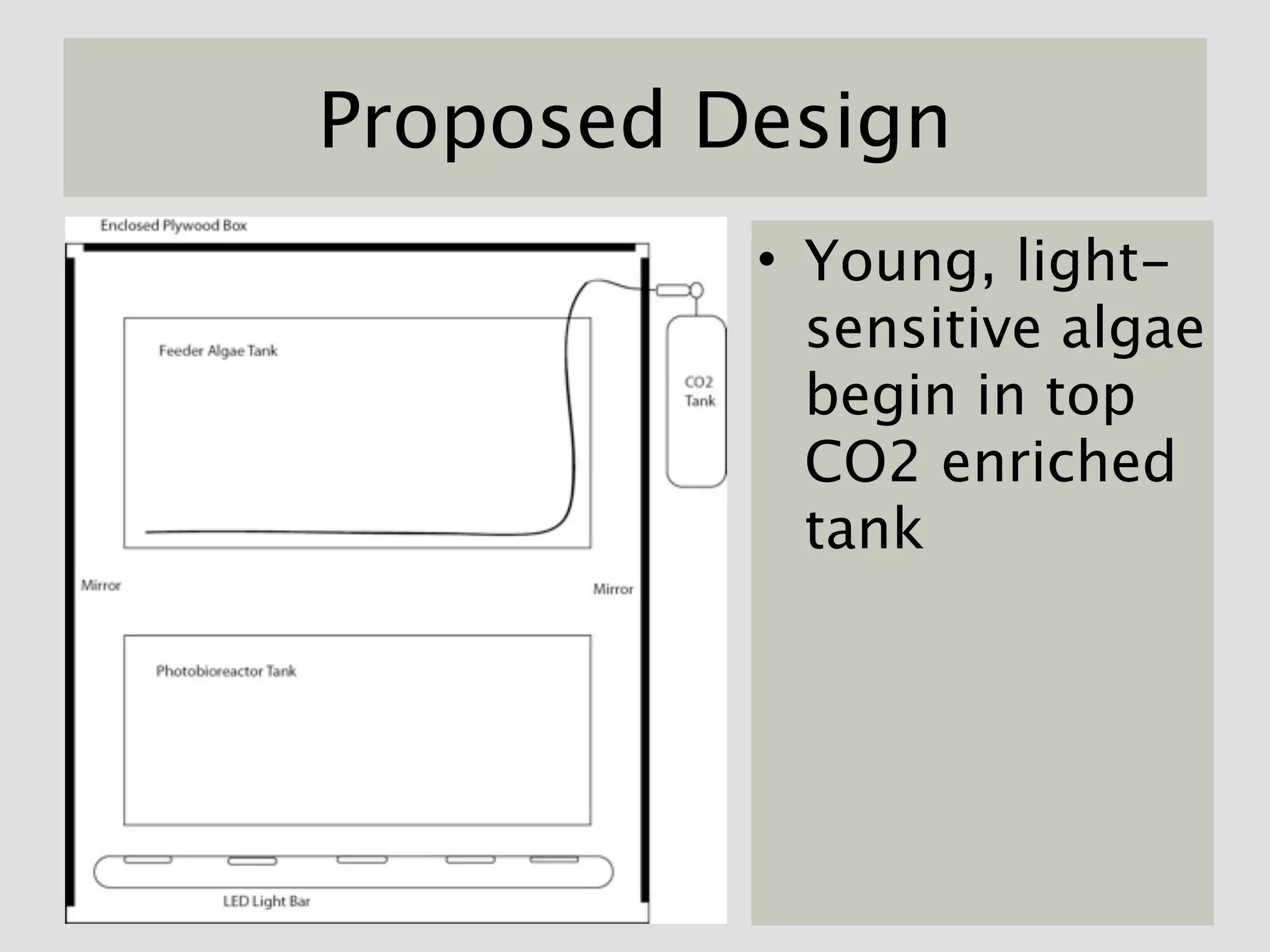 Proposed Design
          • Young, light-
            sensitive algae
            begin in top
            CO2 enriched
            tank
 