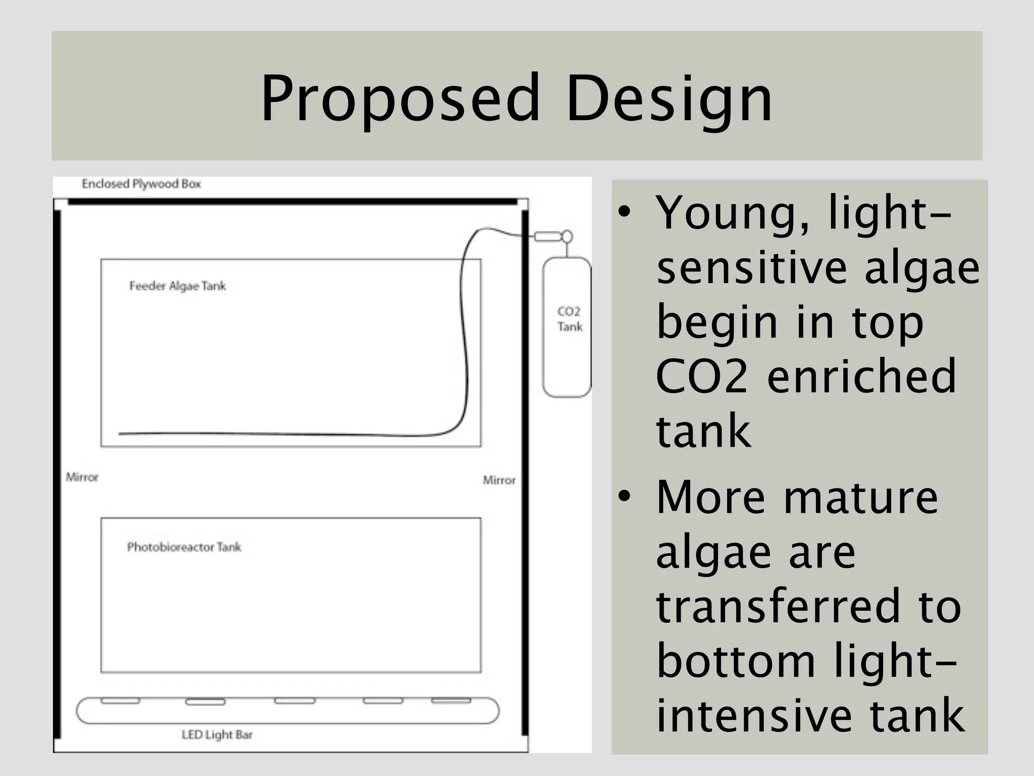 Proposed Design
          • Young, light-
            sensitive algae
            begin in top
            CO2 enriched
            tank
          • More mature
            algae are
            transferred to
            bottom light-
            intensive tank
 