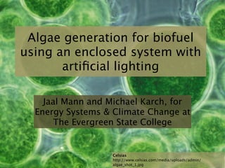 Algae generation for biofuel
using an enclosed system with
       artiﬁcial lighting

    Jaal Mann and Michael Karch, for
  Energy Systems & Climate Change at
       The Evergreen State College


                   Celsias
                   http://www.celsias.com/media/uploads/admin/
                   algae_shot_1.jpg
 