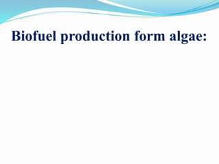 Symbiotic algae, Measurement of algal growth, Algal strain selection ...
