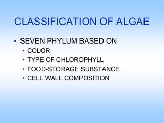 CLASSIFICATION OF ALGAE
• SEVEN PHYLUM BASED ON
• COLOR
• TYPE OF CHLOROPHYLL
• FOOD-STORAGE SUBSTANCE
• CELL WALL COMPOSITION
 