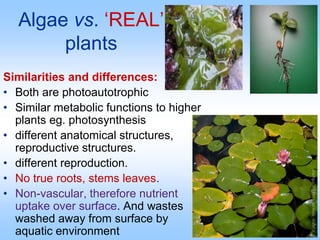 Algae vs. ‘REAL’
plants
Similarities and differences:
• Both are photoautotrophic
• Similar metabolic functions to higher
plants eg. photosynthesis
• different anatomical structures,
reproductive structures.
• different reproduction.
• No true roots, stems leaves.
• Non-vascular, therefore nutrient
uptake over surface. And wastes
washed away from surface by
aquatic environment
 