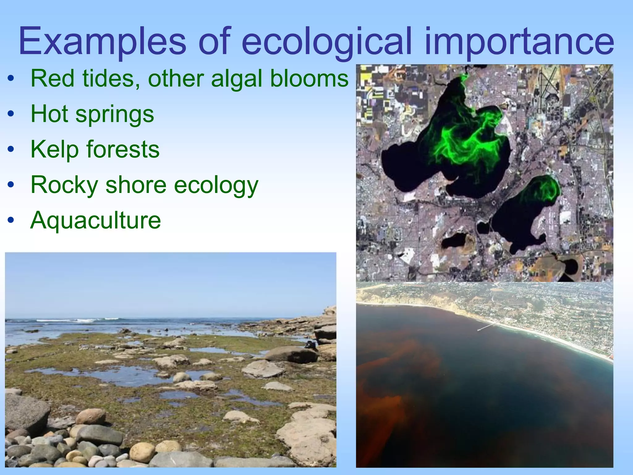Examples of ecological importance
• Red tides, other algal blooms
• Hot springs
• Kelp forests
• Rocky shore ecology
• Aquaculture
 