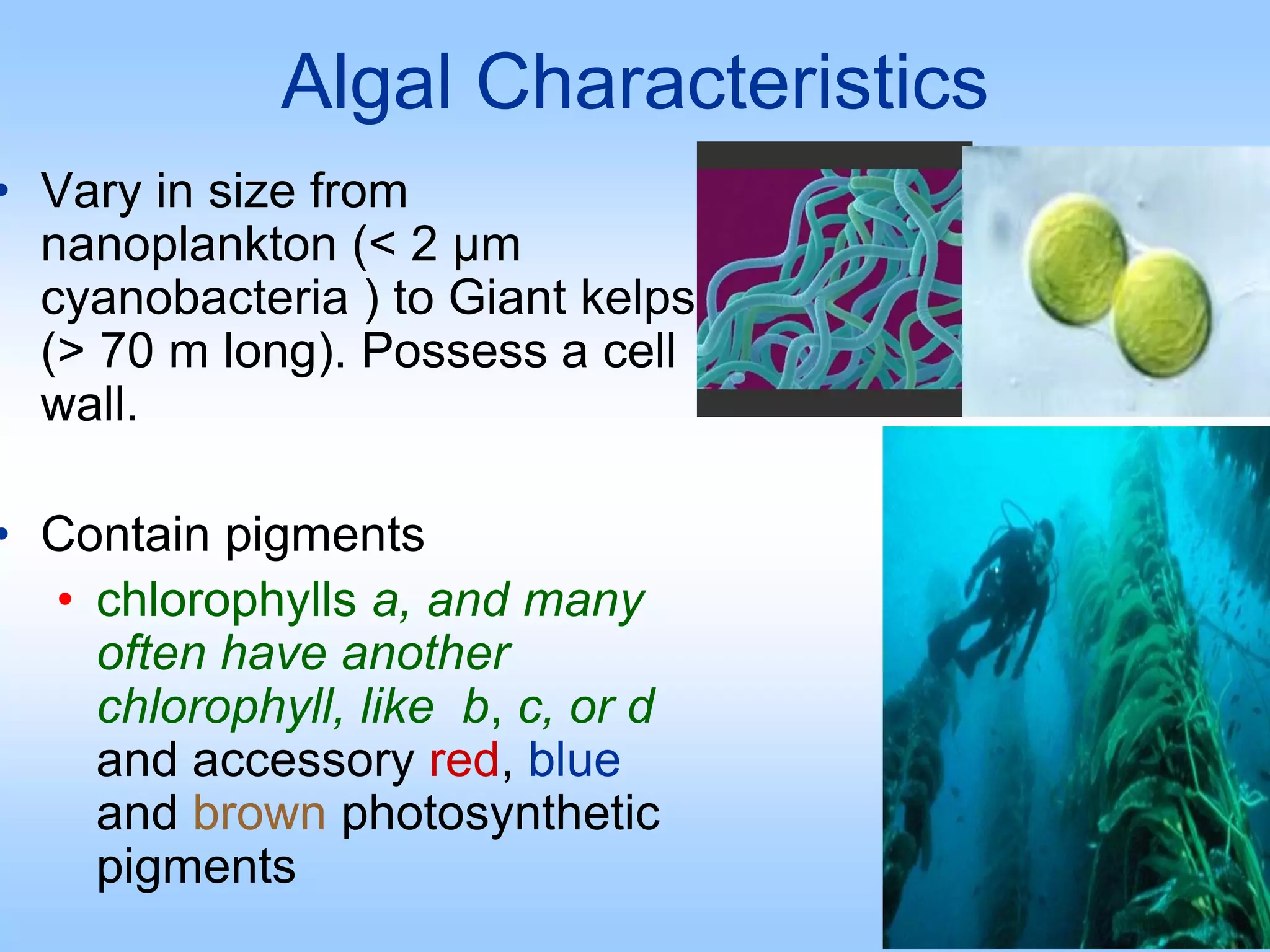 Algal Characteristics
• Vary in size from
nanoplankton (< 2 µm
cyanobacteria ) to Giant kelps
(> 70 m long). Possess a cell
wall.
• Contain pigments
• chlorophylls a, and many
often have another
chlorophyll, like b, c, or d
and accessory red, blue
and brown photosynthetic
pigments
 