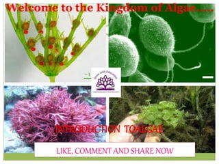 Welcome to the Kingdom of Algae.....
INTRODUCTION TOALGAE
LIKE, COMMENT AND SHARE NOW
 