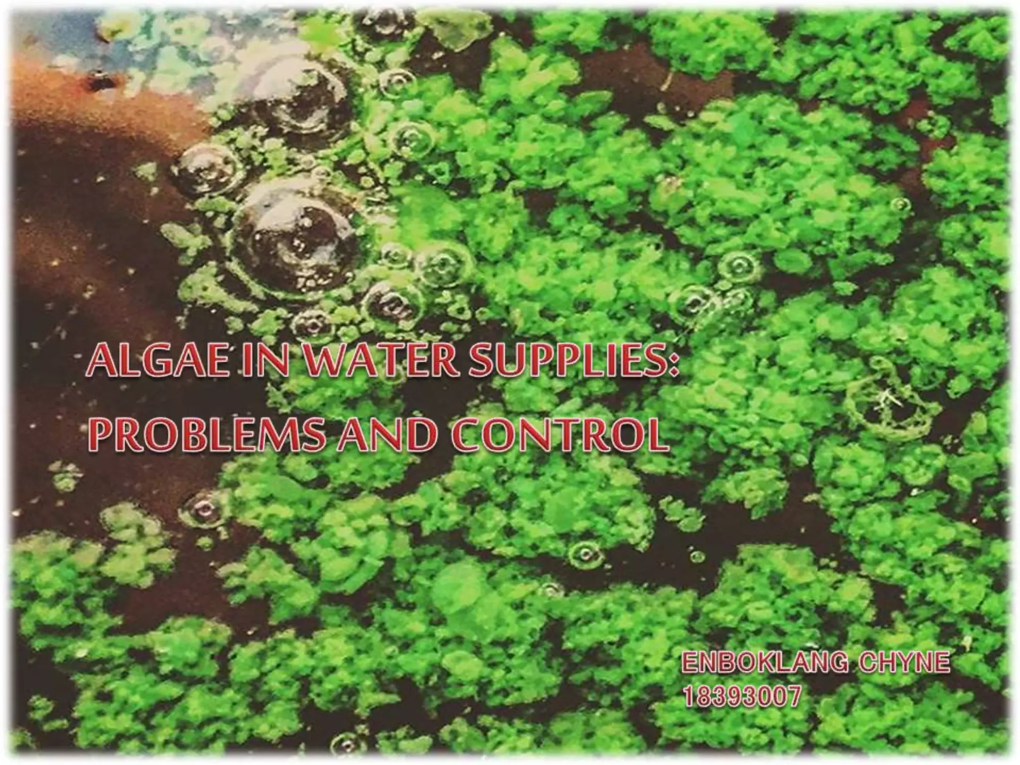 Stunning Algae Control Failure Consequences For Ecosystems image