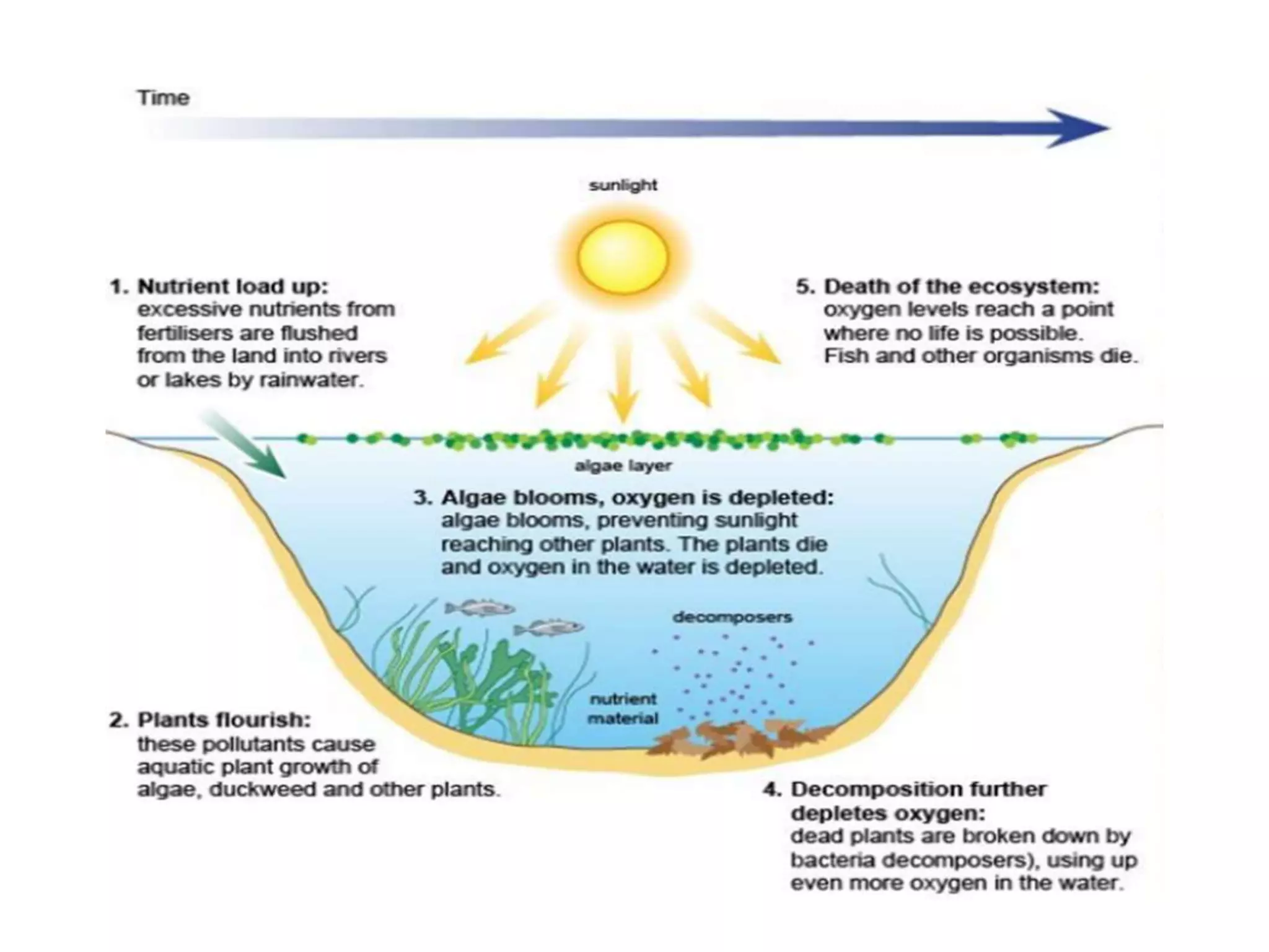 Photo inspiration: Gallery Detail: Problems And Control Of Algae In Water Supply