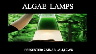 ALGAE LAMPS
PRESENTER: ZAINAB LALI,LCWU
 