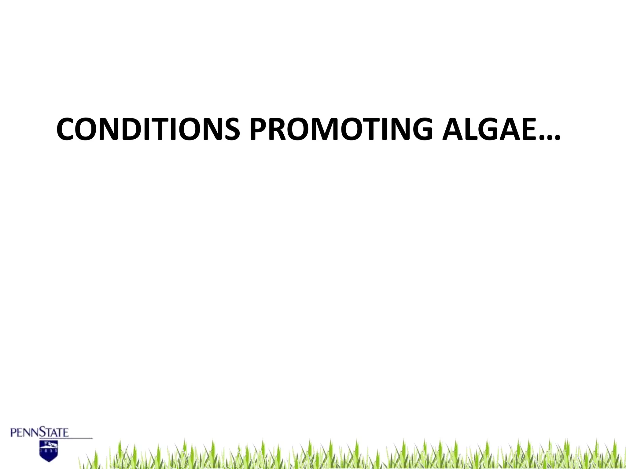 Fresh Look at Algae Management For Golf Course Putting Greens