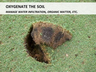 Algae management for golf course putting greens.